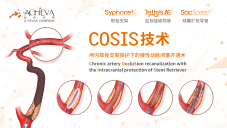 COSIS技术