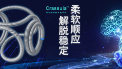 Crassula™颅内弹簧圈栓塞系统