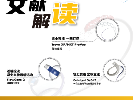 文献解读｜Trevo取栓支架在真实世界中的体现｜MR CLEAN亚组分析