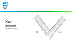Xact 闭环颈动脉支架