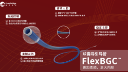FlexBGC™球囊导引导管
