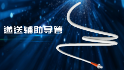 递送辅助导管
