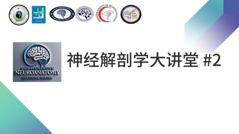 神经解剖学大讲堂 - 杏仁核的解剖 - 脑医汇