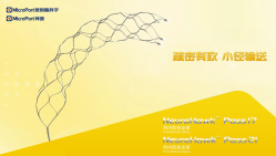 NeuroHawk®Pass17/21颅内取栓支架