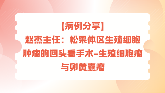 【病例分享】赵杰主任：松果体区生殖细胞肿瘤的回头看手术-生殖细胞瘤与卵黄囊瘤