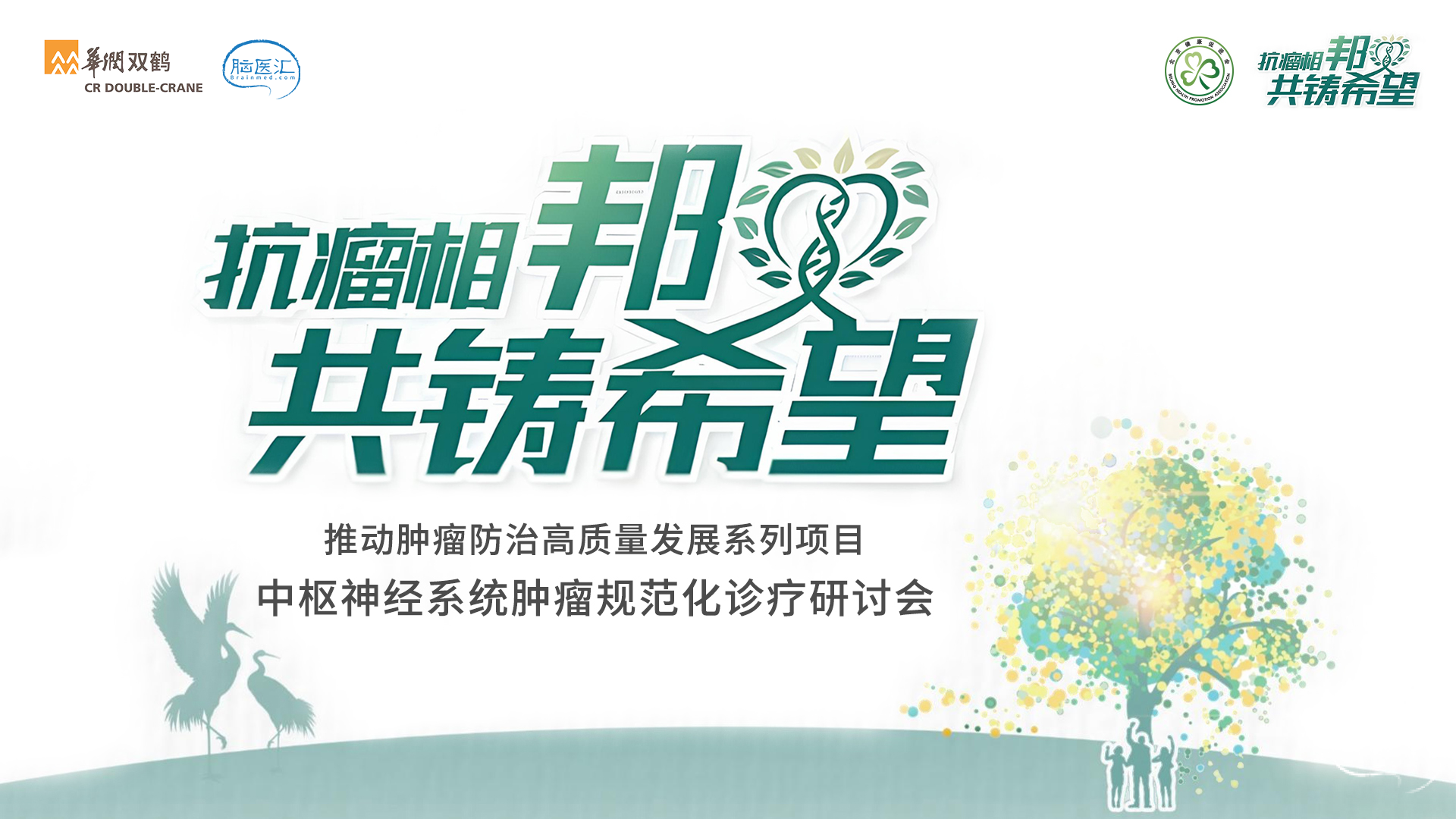 中枢神经.png