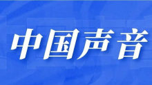 【中国声音】药物洗脱支架治疗椎动脉起始部重度狭窄的1年预后：单中心经验