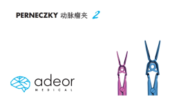 艾德欧内撑式动脉瘤