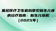 基层医疗卫生机构常见新生儿疾病诊疗指南：新生儿惊厥（2025年）