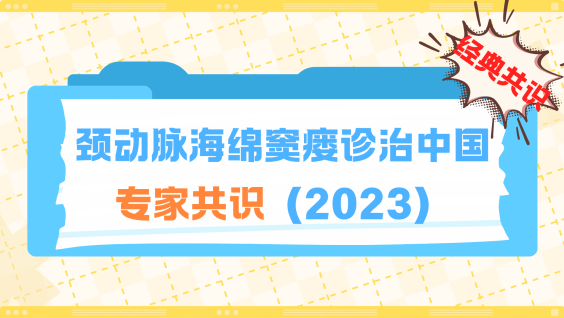 颈动脉海绵窦瘘诊治中国专家共识（2023）