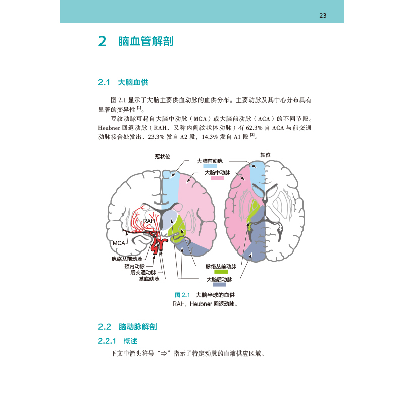样张-1.jpg