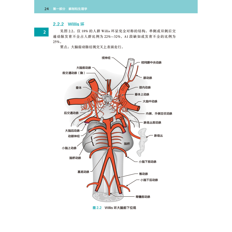样张-2.jpg