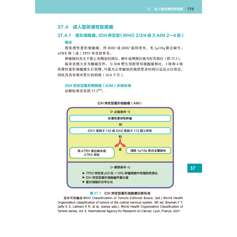 样张-3.jpg