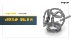 Target Tetra可解脱弹簧圈