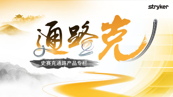 精准超选、省事省心｜张梦超、王玉波：两例闭塞再通Sychro Select微导丝优秀操控