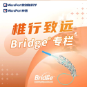 满弓劲发椎动脉 神技妙手显神通｜BRIDGE-MAX中远期随访病例分享（一）