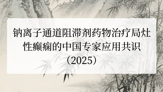 钠离子通道阻滞剂药物治疗局灶性癫痫的中国专家应用共识（2025）