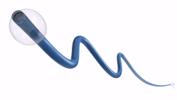 BMAX088球囊导引导管