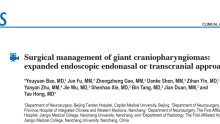 【中国声音】JNS｜手术治疗巨大颅咽管瘤：扩大内镜经鼻还是经颅入路？（附手术视频）