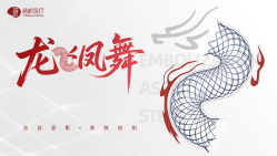 通桥飞龙™颅内动脉瘤栓塞辅助支架