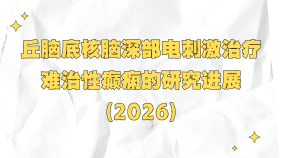丘脑底核脑深部电刺激治疗难治性癫痫的研究进展（2026）