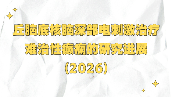 丘脑底核脑深部电刺激治疗难治性癫痫的研究进展（2026）