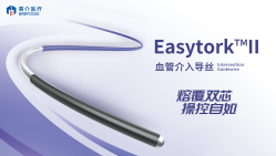 Easytork™Ⅱ血管介入导丝