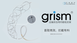 grism®远端闭合颅内取栓支架