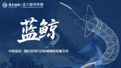 蓝鲸™颅内动脉瘤辅助栓塞支架