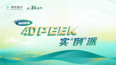 4DPEEK实“例”派