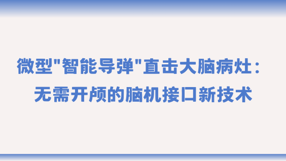 微型"智能导弹"直击大脑病灶：无需开颅的脑机接口新技术