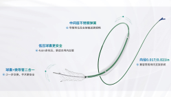 PassGate™输送型球囊扩张导管