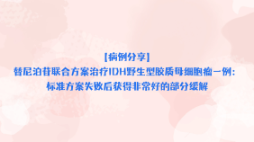 【病例分享】替尼泊苷联合方案治疗IDH野生型胶质母细胞瘤一例：标准方案失败后获得非常好的部分缓解