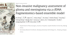 【中国声音】宣武神外肿瘤团队Genes & Disease报道基于cfDNA片段组学智能模型，术前判断胶质瘤及脑膜瘤良恶性