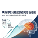 从菲尔兹奖熵增定理到胶质瘤热力学宿命：IDH、MET与靶向治疗的底层数学逻辑